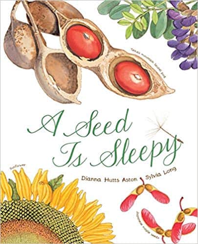 A Seed is Sleepy by Dianna Hutts Aston, illustrated by Sylvia Long cover