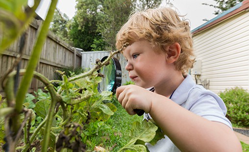 A photo of a student investigating with a magnifying glass in the garden.
