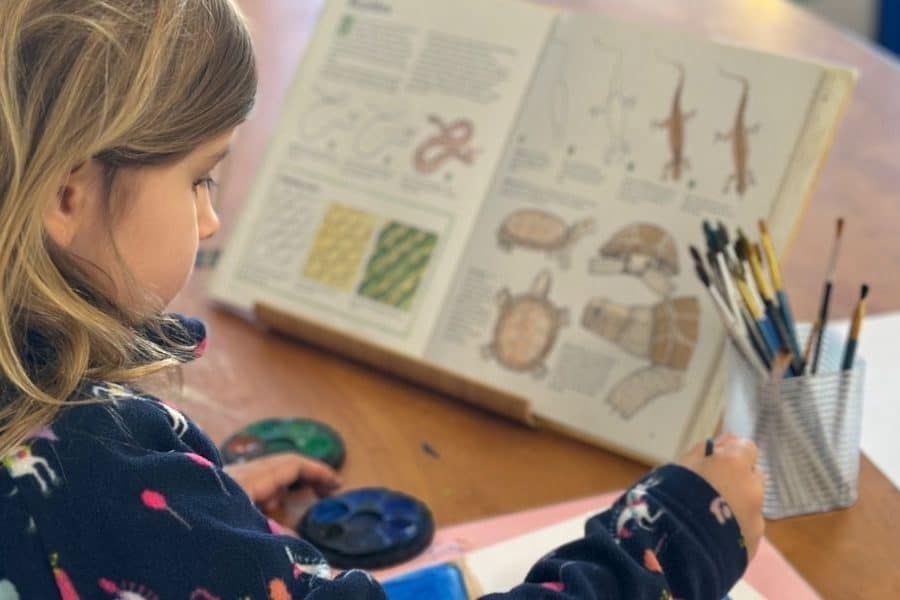 Forestville Montessori School Primary program